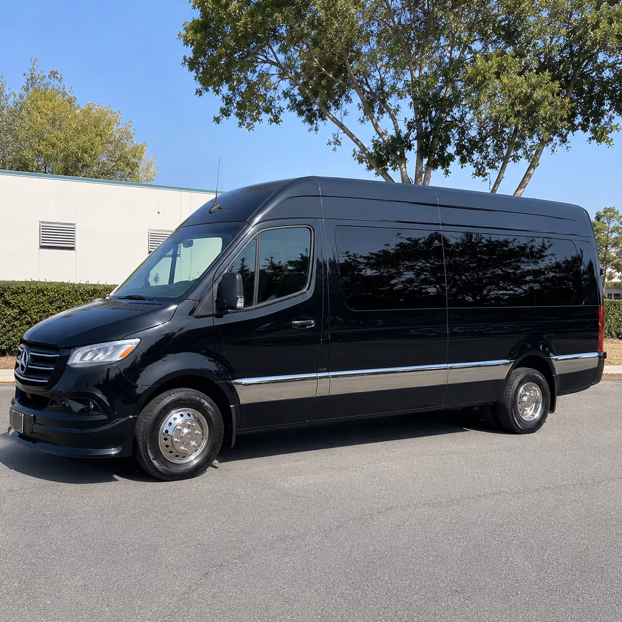 why rent using palmdalesprintervanrental com